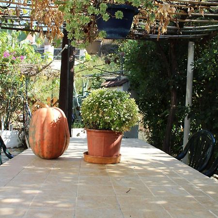 Marina 1990 Apartment Agios Georgios Pagon Ngoại thất bức ảnh