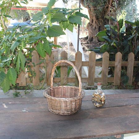 Marina 1990 Apartment Agios Georgios Pagon Ngoại thất bức ảnh