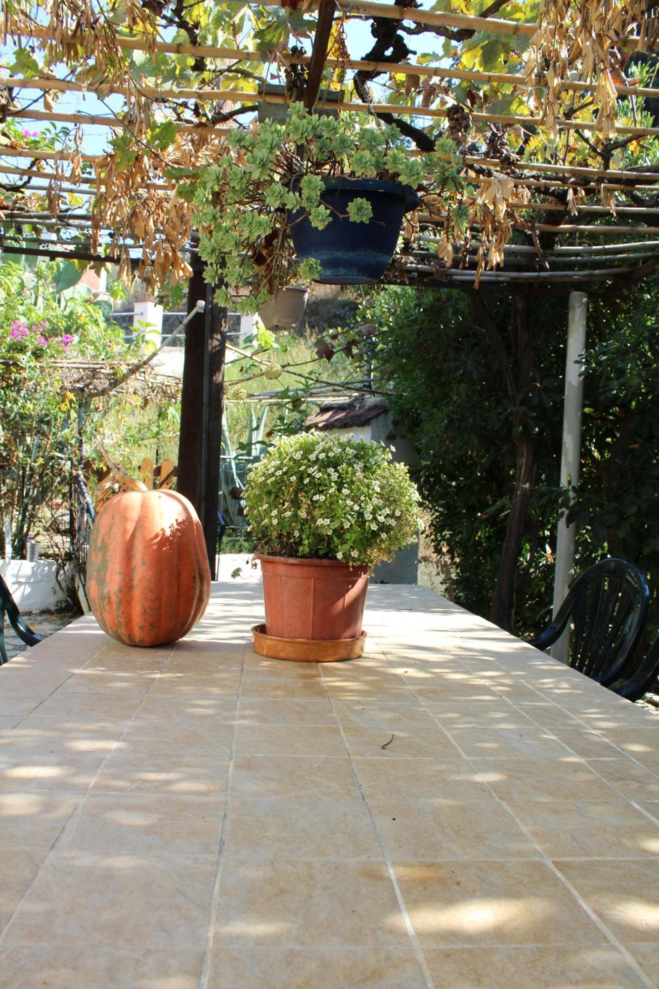 Marina 1990 Apartment Agios Georgios Pagon Ngoại thất bức ảnh